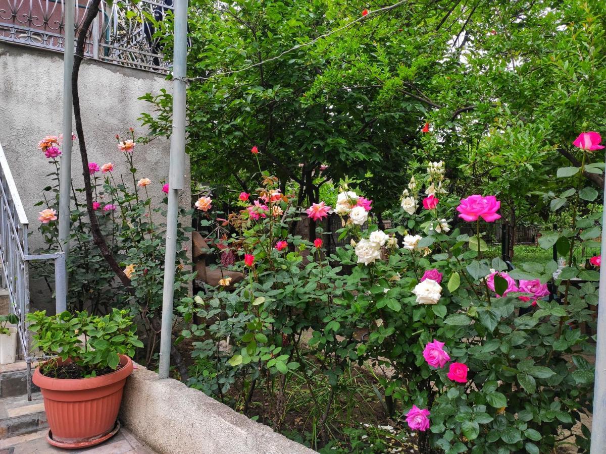 Guesthouse Ttt Τυφλίδα Εξωτερικό φωτογραφία
