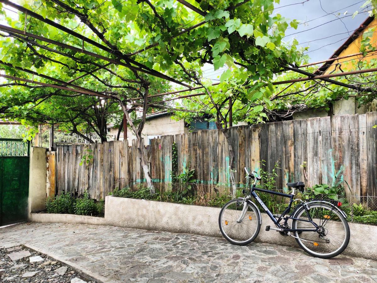 Guesthouse Ttt Τυφλίδα Εξωτερικό φωτογραφία